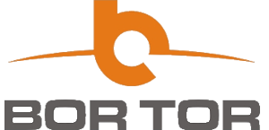 Bortor